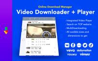Online Download Manager image 2