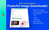 Online Download Manager image 4