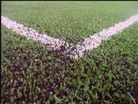 Artificial Turf Pitch Replacement image 1