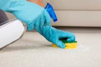 Bmv Cleaning Services image 26