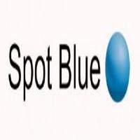 Spot Blue International Property Lisbon image 1