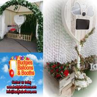Budgie's Balloons & Booths image 7
