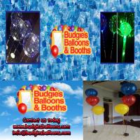 Budgie's Balloons & Booths image 6