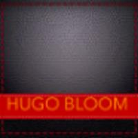 Hugo Bloom image 1