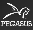 Pegasus Skip Hire logo