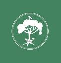 The Edinburgh Tree Surgeon logo