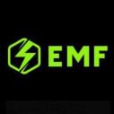 EMF Detection logo