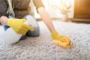 Carpet Cleaning Northampton and Around Your Town logo
