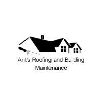Ants Roofing And Building Maintenance image 1