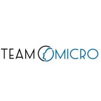 Team Micro Ltd image 1