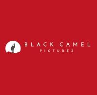 The Black Camel Picture Company Ltd image 1