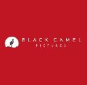 The Black Camel Picture Company Ltd logo
