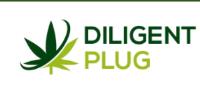 Dilgent Plug image 1