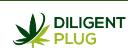 Dilgent Plug logo