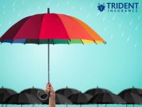 Trident Insurance image 4