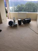 Trees Carpet Cleaning image 3