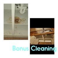 Bonus Cleaning  image 11