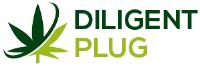 Diligentplug image 1