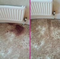 Smile Carpet Cleaning image 33