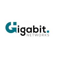 Gigabit Networks image 1