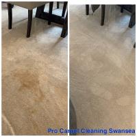 pro carpet cleaning swansea image 2