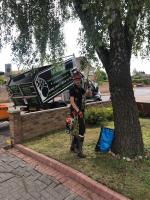 Maple Tree Service And Landscaping Ltd image 2