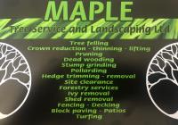 Maple Tree Service And Landscaping Ltd image 1