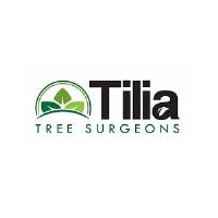 Tilia Tree Surgeons image 1