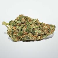 Medical Marijuana Bud Shop image 2