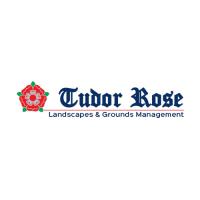 Tudor Rose Landscapes image 1