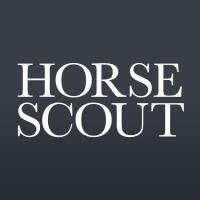  Horse Scout image 2