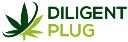 DILIGENT PLUG logo