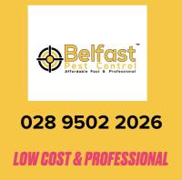 Belfast Pest Control image 1