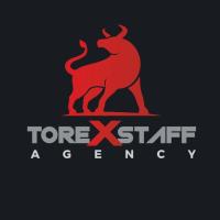 Torexstaff Ltd - Recruitment Agency Hull Yorkshire image 2