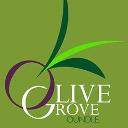 Olive Grove Oundle logo