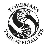 Foremans Tree Specialists Ltd image 1