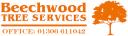 Beechwood Tree Services - Tree Surgeon logo