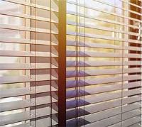Blinds Just For You image 8