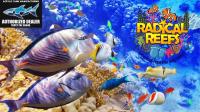 Radical Reefs Leeds Marine Superstore image 2