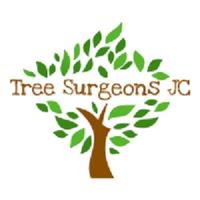 Tree Surgeons JC Leicester image 3