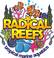 Radical Reefs Leeds Marine Superstore image 10