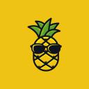 Pineapple Recruitment logo