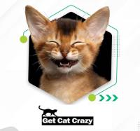 Get Cat Crazy image 1
