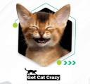 Get Cat Crazy logo