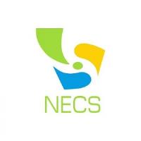 NECS Cleaning image 1