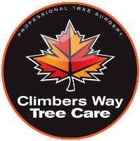 Climbers Way Tree Care image 20
