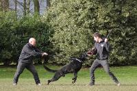 Protection Dogs TOTAL K9 image 2