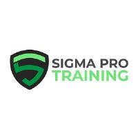 Sigma Pro Training image 1