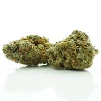 CBDHEMPVENDOR image 2