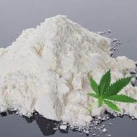 CBDHEMPVENDOR image 5